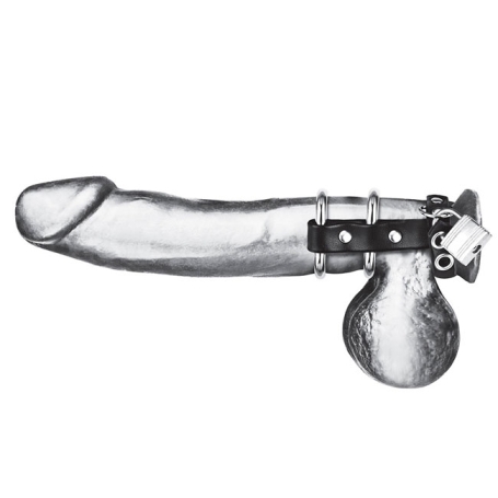 Ремешок с кольцами и замком BlueLine BLM3068